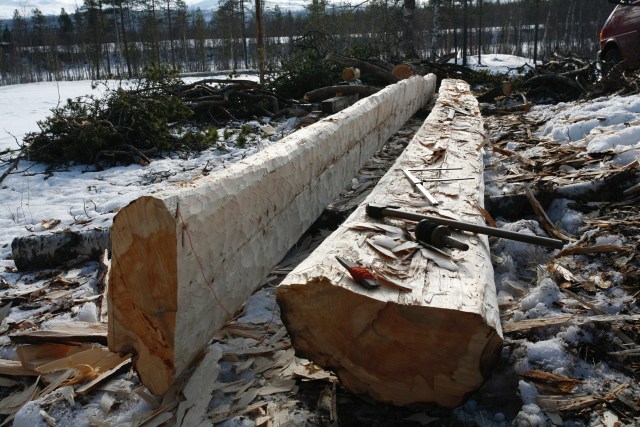 To halvkløyvingar der den eine er sletthogd på rettsida. Foto: Siv Holmin
